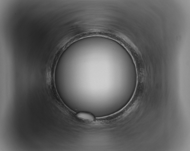 X0000101990969200807251223