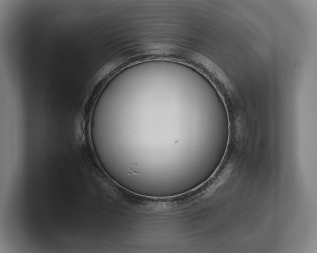 X0000101990970200807251222