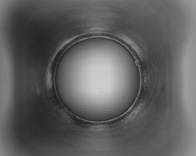 X0000101990973200807251222