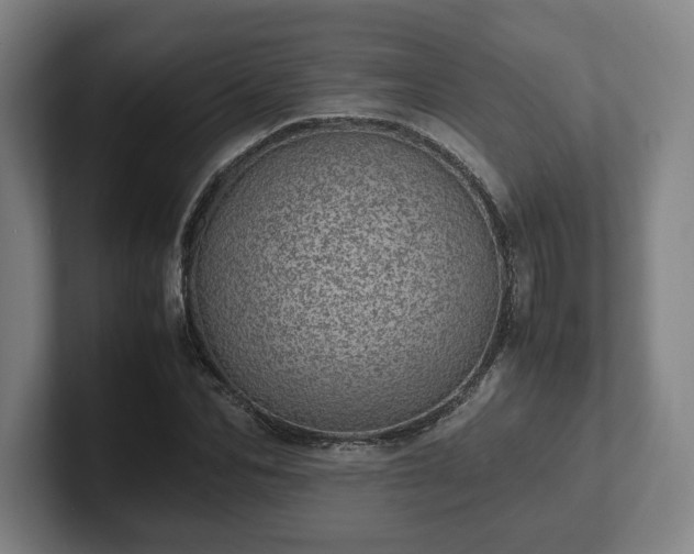 X0000101990974200807251222