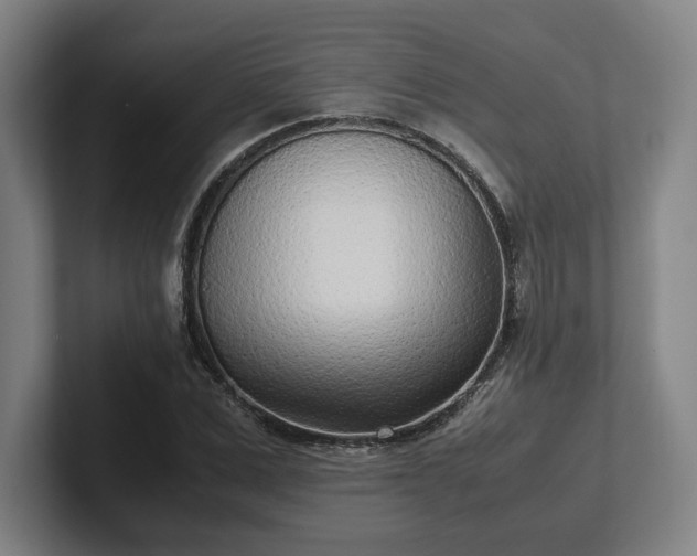 X0000101990975200807251222