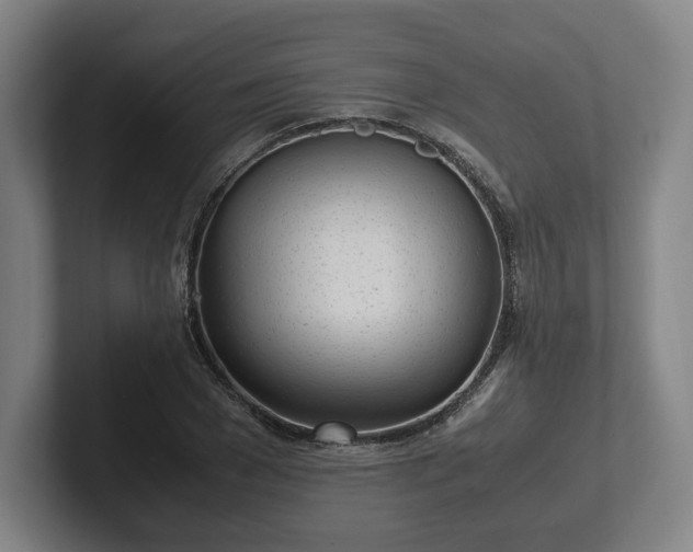 X0000101990977200807251222