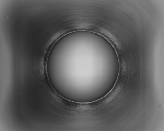 X0000101990978200807251222