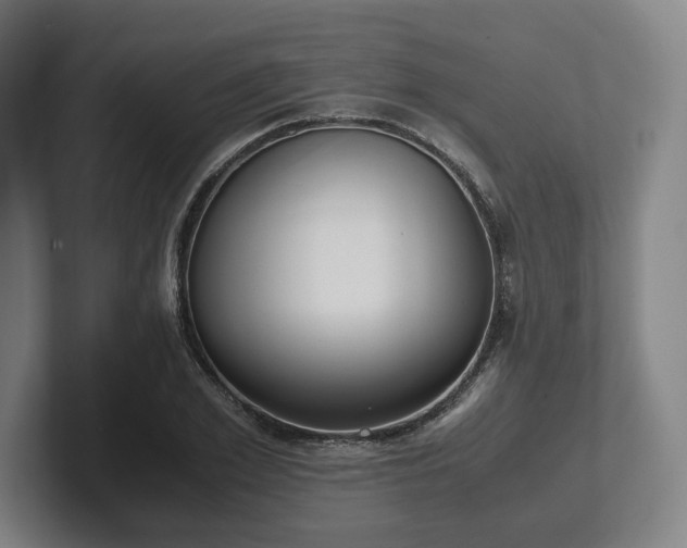 X0000101990981200807251222