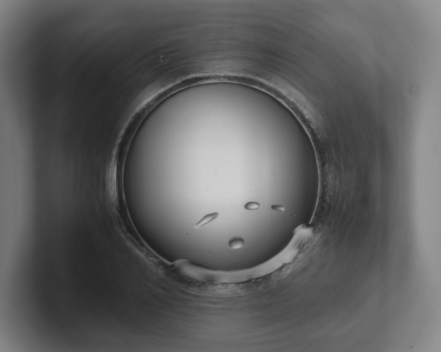 X0000101990982200807251222
