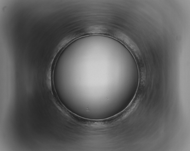 X0000101990986200807251222