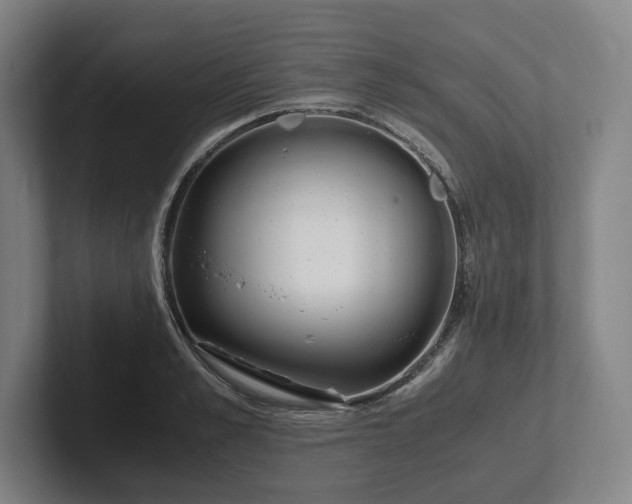 X0000101990989200807251222