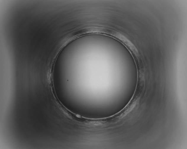 X0000101990993200807251222
