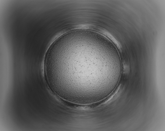 X0000101990994200807251222