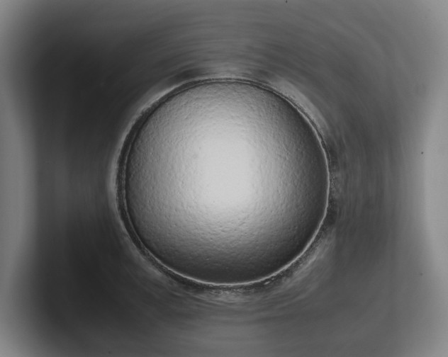 X0000101990995200807251222