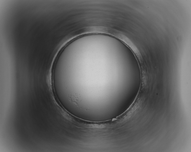 X0000101990996200807251222