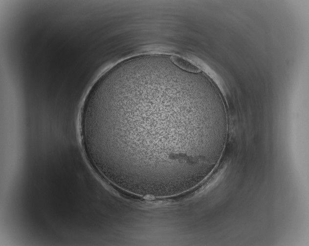 X0000101990997200807251222