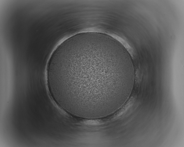 X0000101990998200807251222