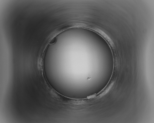 X0000101991001200807251222