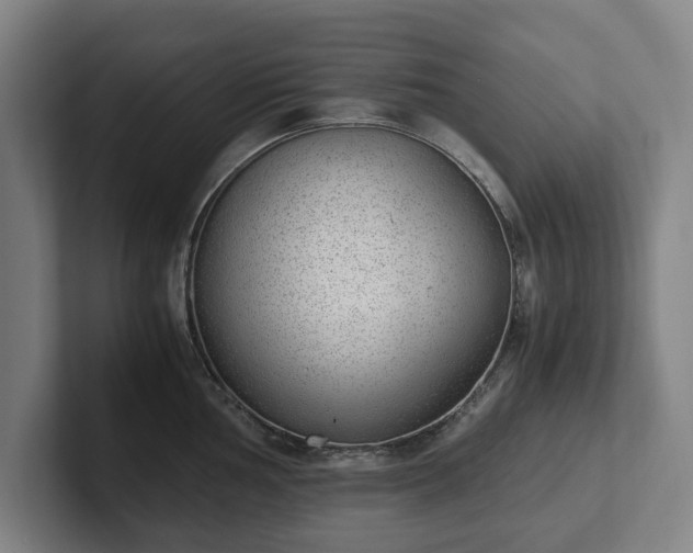 X0000101991002200807251222