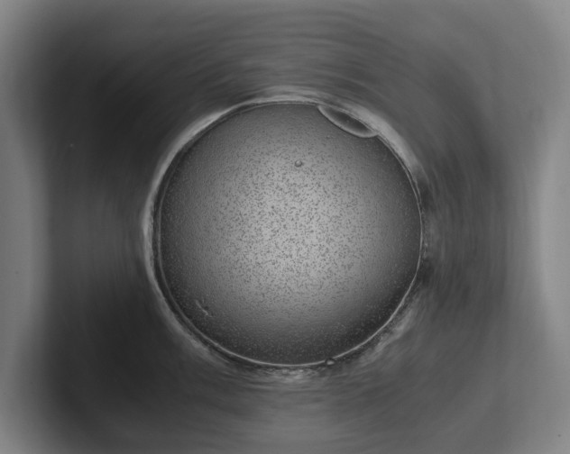 X0000101991003200807251222