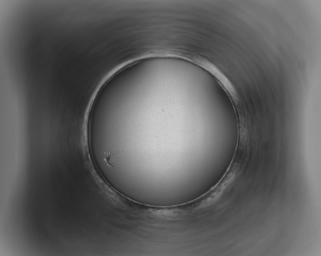 X0000101991004200807251222