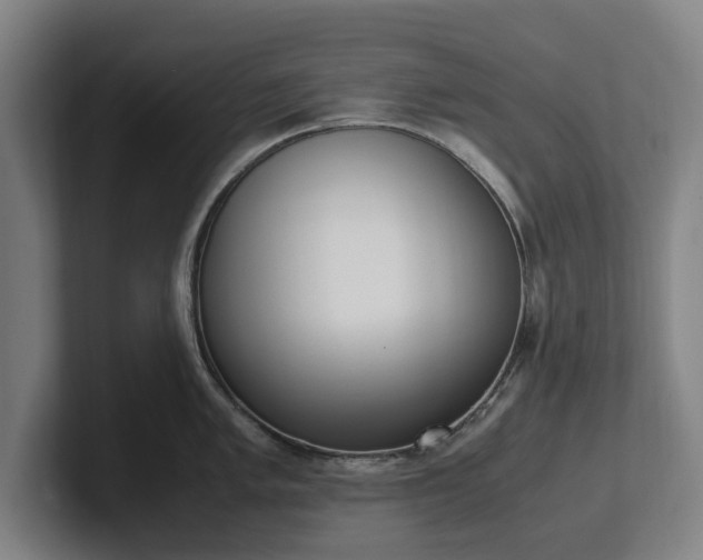 X0000101991005200807251222