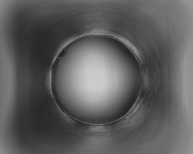 X0000101991006200807251222