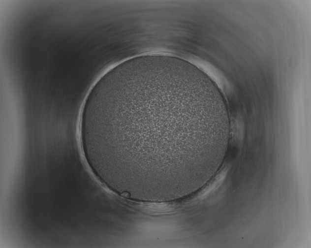 X0000101991007200807251222