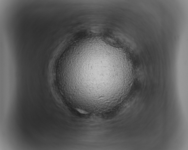 X0000101991009200807251221