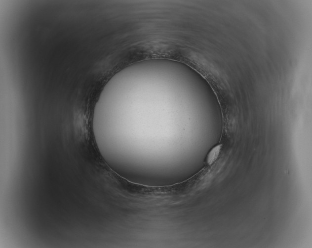 X0000101991010200807251221