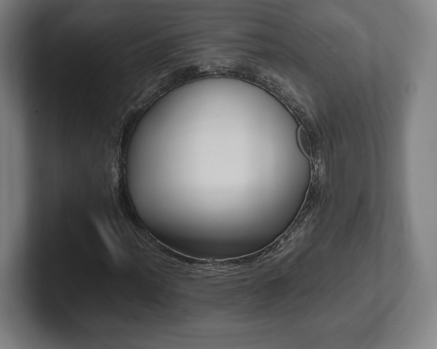 X0000101991012200807251221