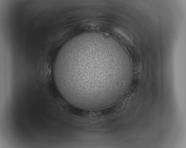X0000101991013200807251221