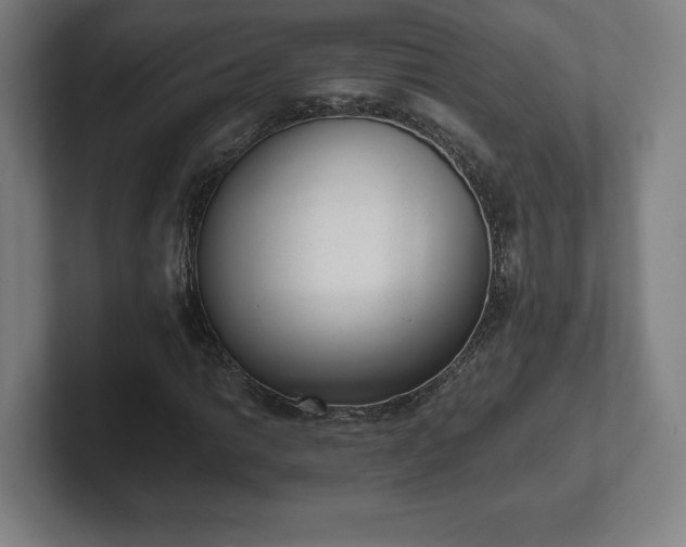 X0000101991014200807251221