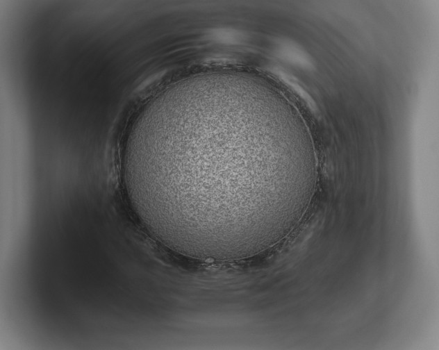 X0000101991015200807251221