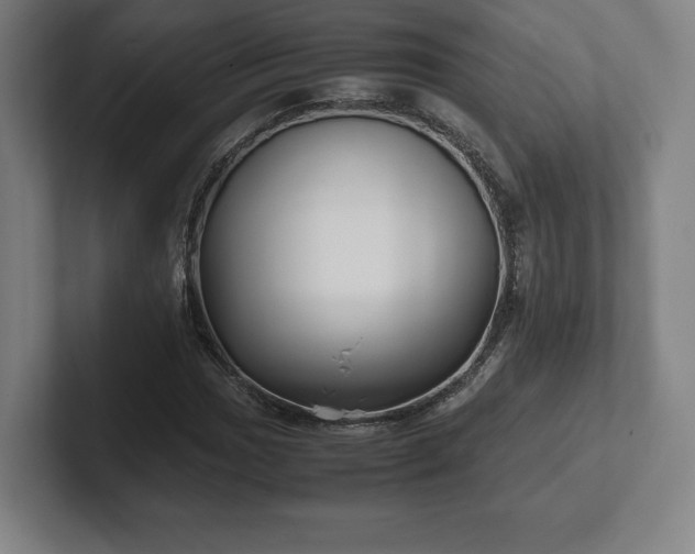 X0000101991017200807251221