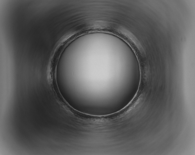 X0000101991018200807251221
