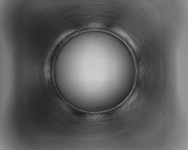 X0000101991019200807251221