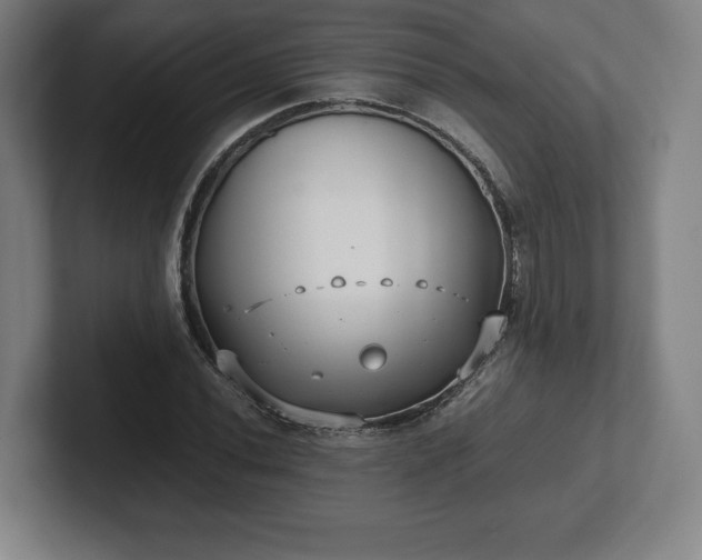 X0000101991020200807251222