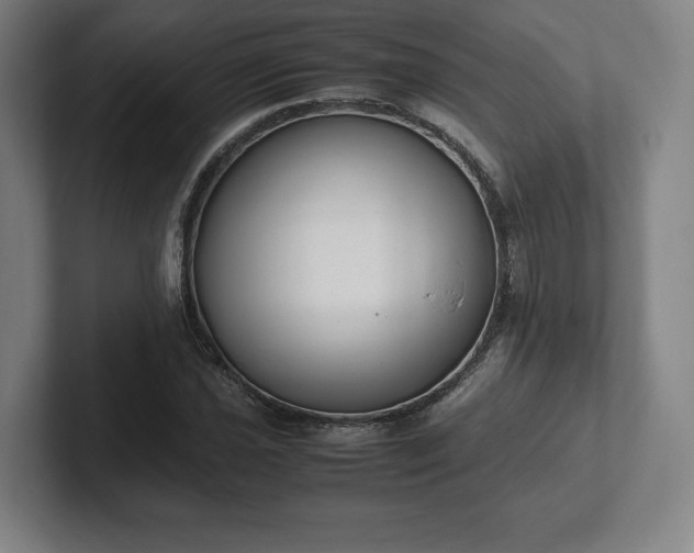 X0000101991021200807251222