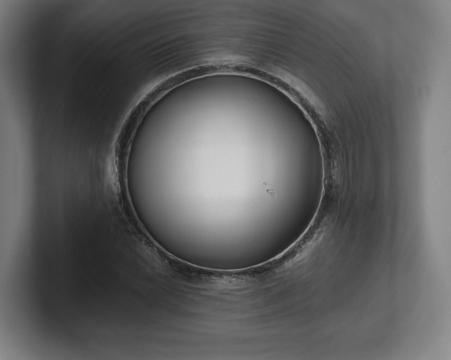 X0000101991022200807251222