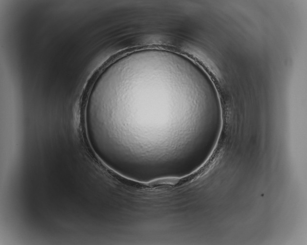 X0000101991023200807251222
