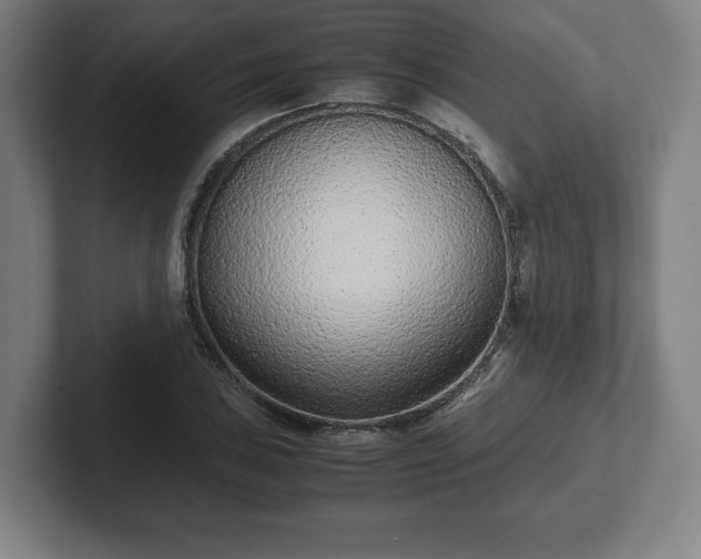 X0000101991027200807251222