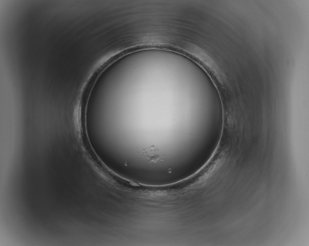 X0000101991030200807251222
