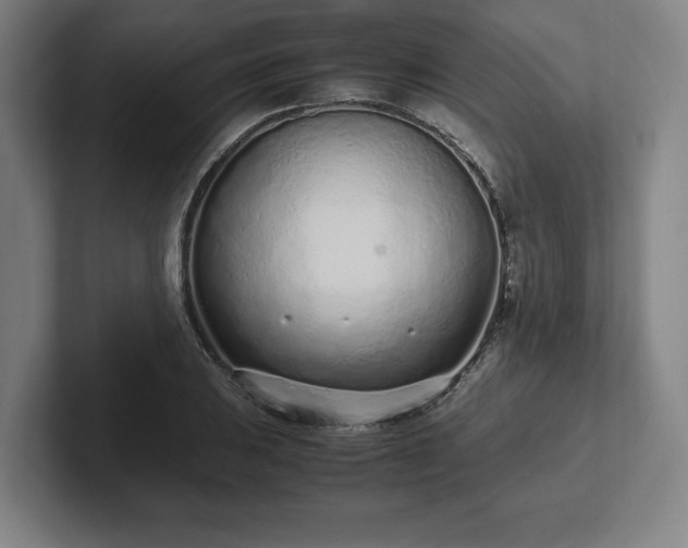 X0000101991031200807251222