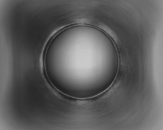 X0000101991032200807251222