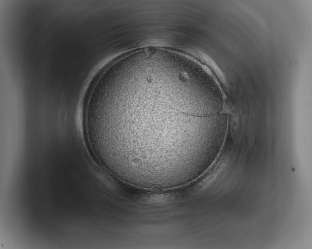 X0000101991035200807251222