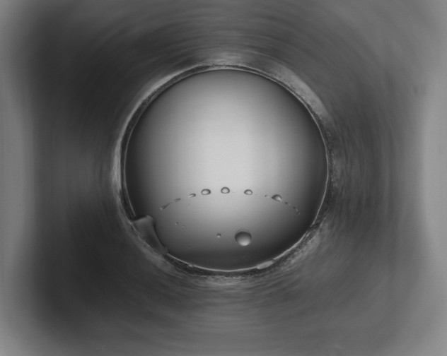 X0000101991036200807251222