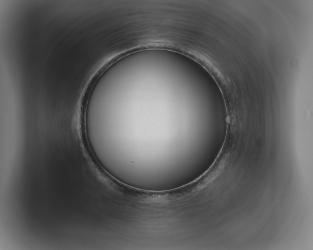 X0000101991038200807251222