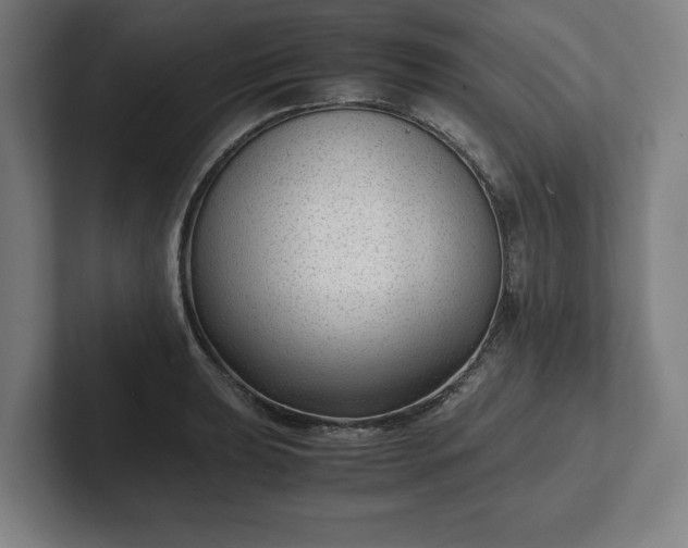 X0000101991039200807251222