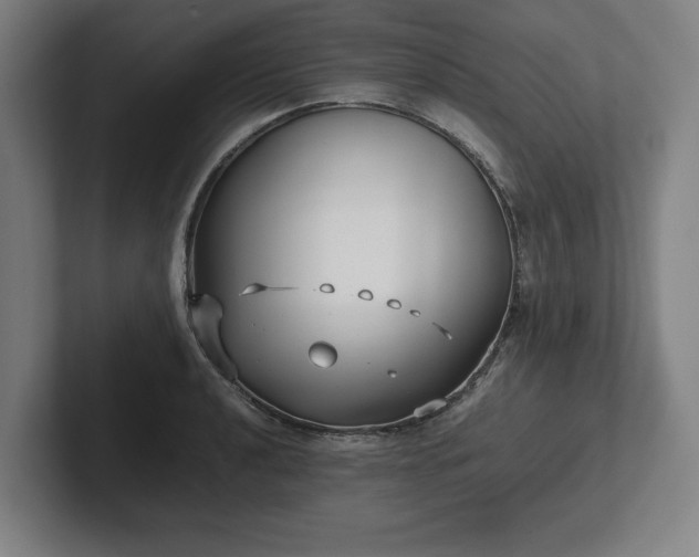 X0000101991040200807251222