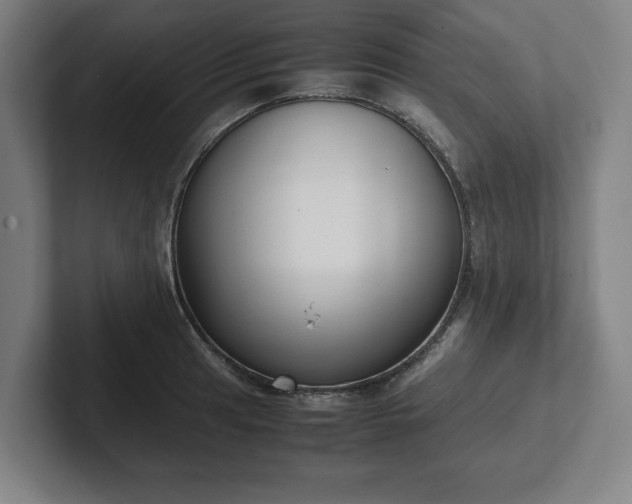 X0000101991041200807251222