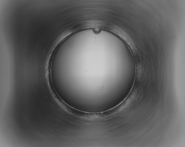 X0000101991042200807251222