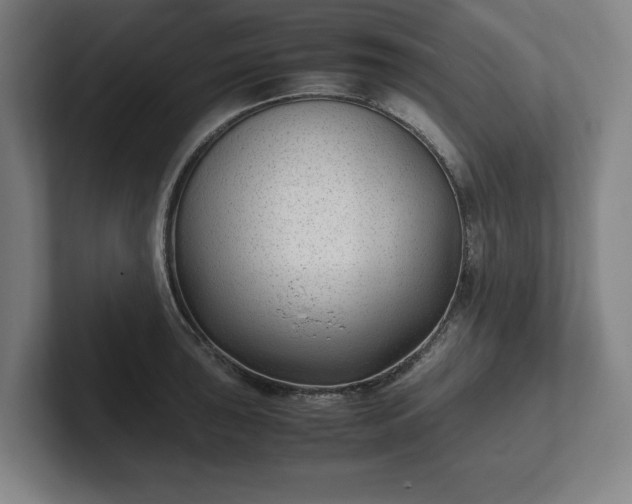 X0000101991043200807251222