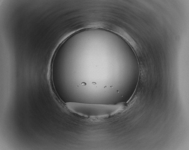 X0000101991044200807251222